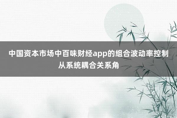 中国资本市场中百味财经app的组合波动率控制从系统耦合关系角