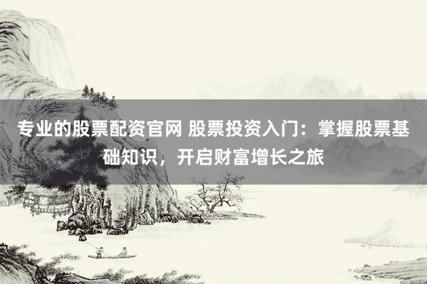 专业的股票配资官网 股票投资入门：掌握股票基础知识，开启财富增长之旅