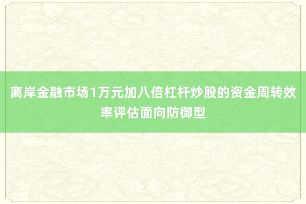 离岸金融市场1万元加八倍杠杆炒股的资金周转效率评估面向防御型