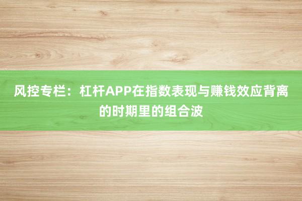 风控专栏:杠杆APP在指数表现与赚钱效应背离的时期里的组合波