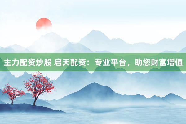 主力配资炒股 启天配资：专业平台，助您财富增值