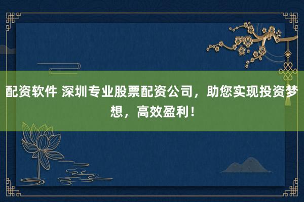 配资软件 深圳专业股票配资公司，助您实现投资梦想，高效盈利！