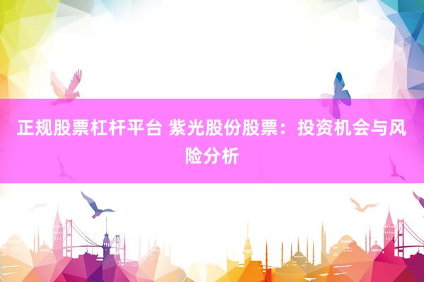 正规股票杠杆平台 紫光股份股票：投资机会与风险分析