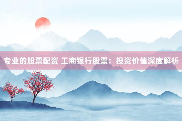 专业的股票配资 工商银行股票：投资价值深度解析