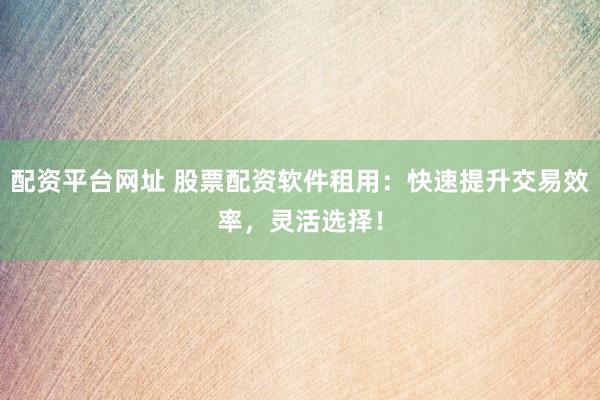 配资平台网址 股票配资软件租用：快速提升交易效率，灵活选择！